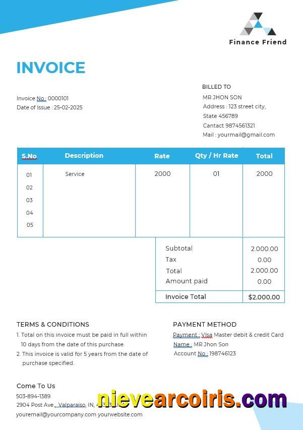 Finance Consultant Invoice